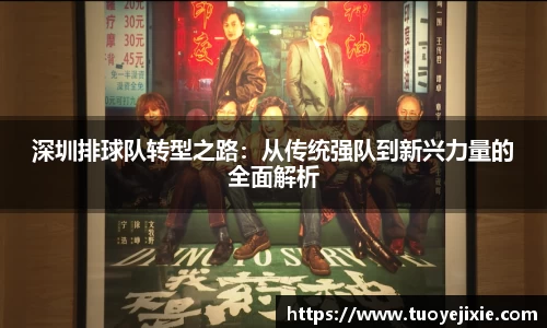 深圳排球队转型之路：从传统强队到新兴力量的全面解析